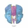 Tom Misch - Reverie
