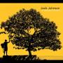 Jack Johnson - In Between Dreams