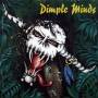 Dimple Minds - Maximum debilum