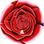 Sivert Hyem - Roses of Neurosis