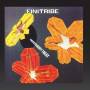 Finitribe - Unexpected Groovy Treat