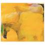 Laurence Pike - Prophecy (Ltd Yellow Vinyl LP)
