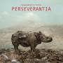 Hackedepicciotto - Perseverantia (LP+MP3)