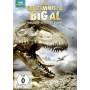 Animated - Das Geheimnis Von Big Al [DE-Version, Regio 2/B]