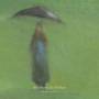 Sol Invictus - In The Rain-20th Anniversary Edition (ltd.buch