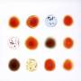Peter Gabriel - Scratch My Back/And Ill Scratch Yours