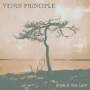 Venus Principle - Stand In Your Light (Hardcover Book)