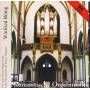 Winfried Bnig - Romantische Orgelmusik
