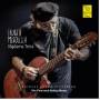 Fausto Mesolella - Madama Terra (Natural Sound Re