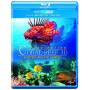 Fascination Coral Reef 3d: Hunters & The Hunted - Fascination Coral Reef 3d: Hunters & The Hunted [US-Version, Regio 1/A]