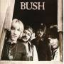 Bush - Bush