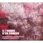 F. Lazarevitch / Les Musiciens De Saint-Julien - A l'Ombre d'un Ormeau-Brunettes et Contredanses