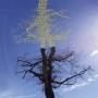 Laetitia Sadier - Rooting for Love