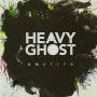 DM Stith - Heavy Ghost