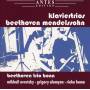 Beethoven Trio Bonn / M. Ovrutsky / G. Alumyan / R. Hama - Klaviertrios Beethoven Mendelssohn
