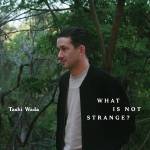 Tashi Wada - What is not Strange?