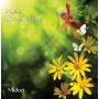 Midori - Musis With Birdsong