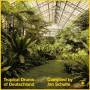 Various / Jan Schulte (Compiled By) - Tropical Drums of Deutschland