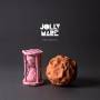 Jolly Mare - Mechanics
