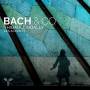 Thibault Noally / Les Accents - Bach & co (concertos by Telemann, Heinichen, Graun