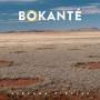 Bokante - Strange Circles