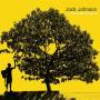 jack Johnson - In Between Dreams