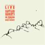 Nick Waterhouse - Live at Pappy & Harriet's: In Person from the High