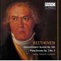 Georg Friedrich Schenck - Hammerklavier Sonata