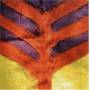 Yeah Yeah Yeahs - Show Your Bones
