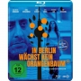 In Berlin Waechst Kein Orangenbaum / BD - In Berlin waechst kein Orangenbaum/BD [DE-Version, Regio 2/B]