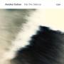 avishai Cohen - Into The Silence