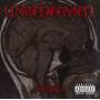 Unredeemed - Amygdala