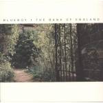 Blueboy - The Bank Of England (2024 Repress)