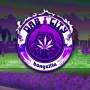 Bongzilla - Dab City (LTD. a/B White/Green/Purple 2LP)