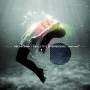 Dre Hocevar / Bram De Looze - Collective Effervescence
