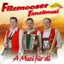 Filzmooser Tanzlmusi - A Musi fr di