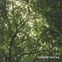 Lucid Fall - Beautiful Days