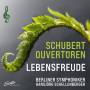 Berliner Symphoniker - Lebensfreude