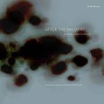 Jan Bang / Arve Henriksen - After the Wildfire