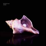 Drum / Lace - Onda (ltd. Transparent Lp)