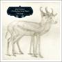 James Yorkston & Big Eye Family Players - Folk Songs