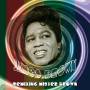 James Brown - Remixing Brown