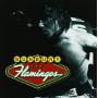 Bunbury - Flamingos