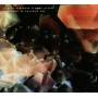 Ulrich Schnauss / Mark Peters - Tomorrow Is Another Day