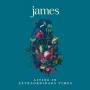 James - Living In Extraordinary Times