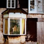 Les Louanges - Alouette!