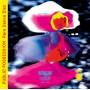 V / A - Rare Dance Disc