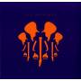 Joe Satriani - The Elephants Of Mars (Ltd/180g/Gatefold/Pink)