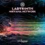 Labr1nth - Nirvana Network