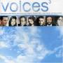 V / A - Voices 3 / Various